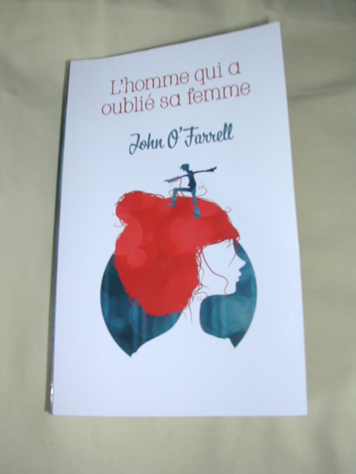 L'homme qui a oublié sa femme 9782298062311