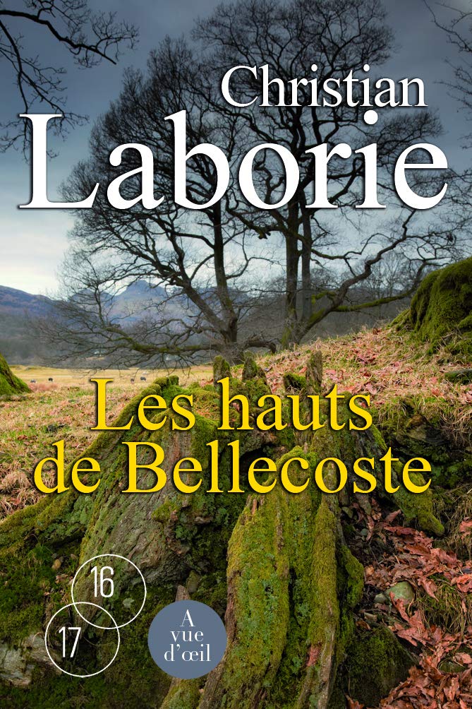 Les hauts de Bellecoste 9782846667012