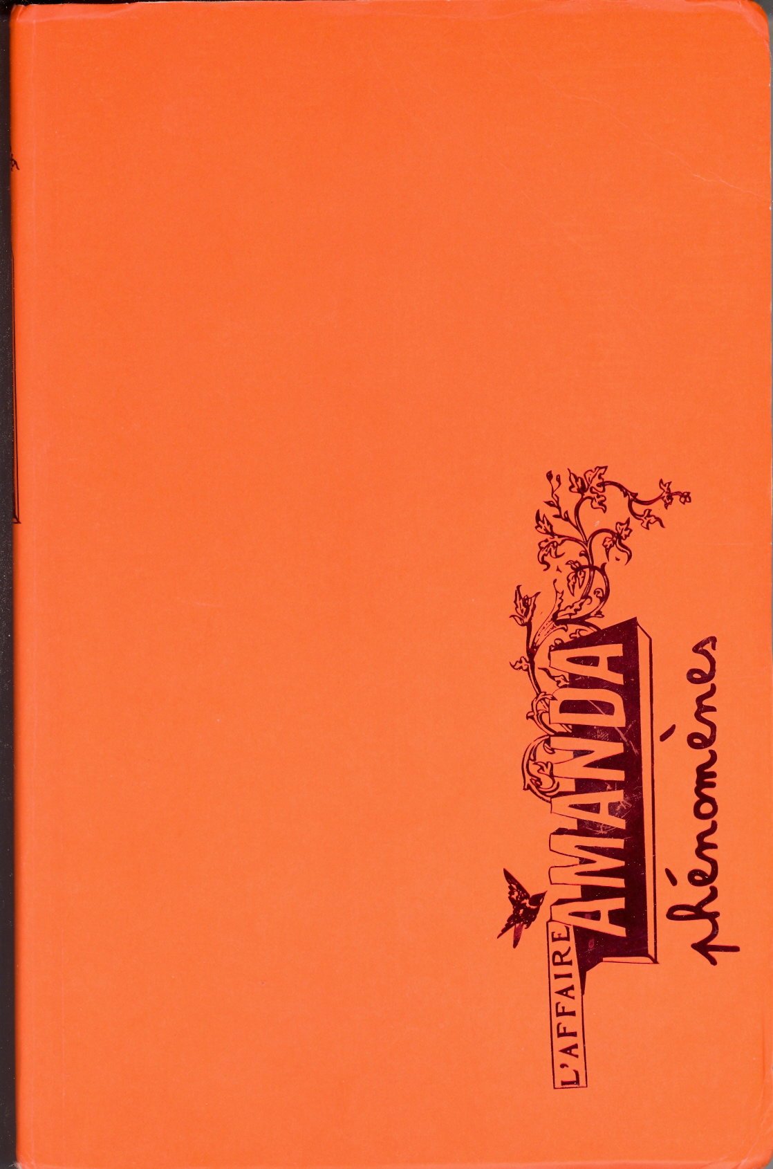 Vous voyez ?, tome 3 : L'Affaire Amanda 9782747032650