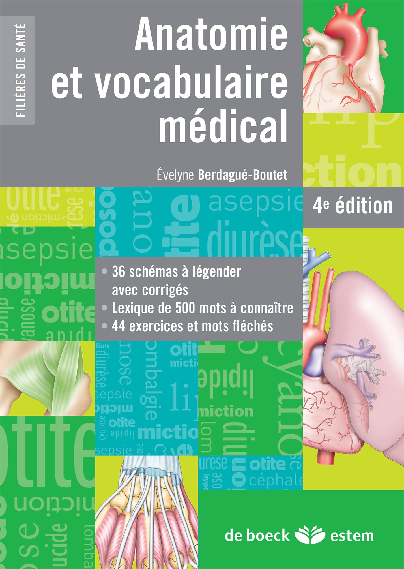 Anatomie et vocabulaire médical: 36 schémas à légender avec corrigés / Lexique de 500 mots à connaître / 44 exercices et mots fléchés 9782843716966