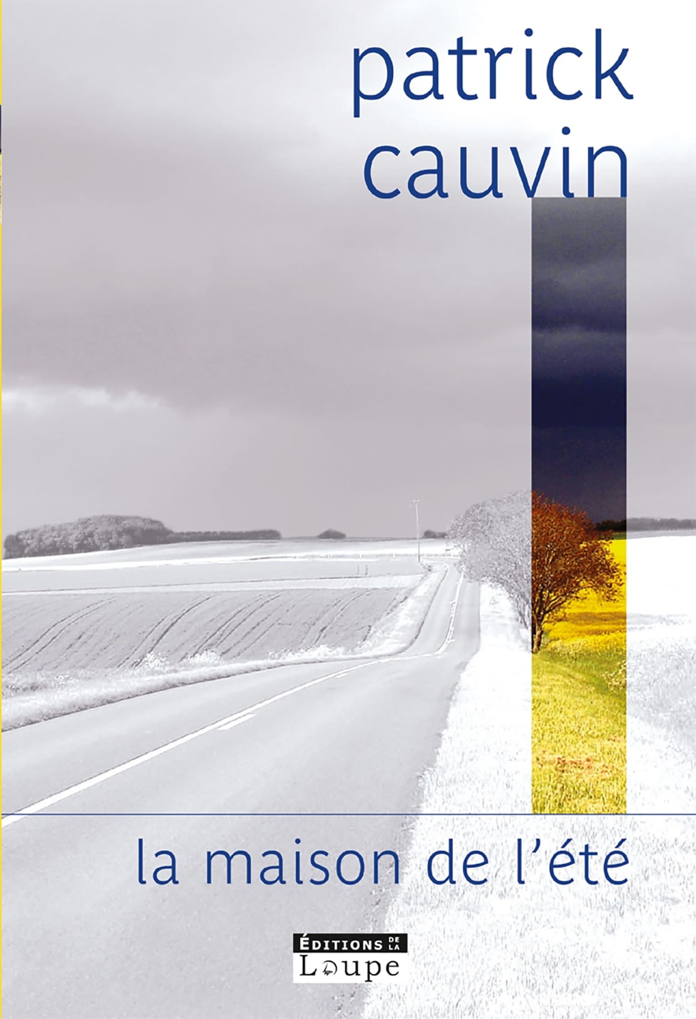 La maison de l'été (grands caractères) 9782848682259