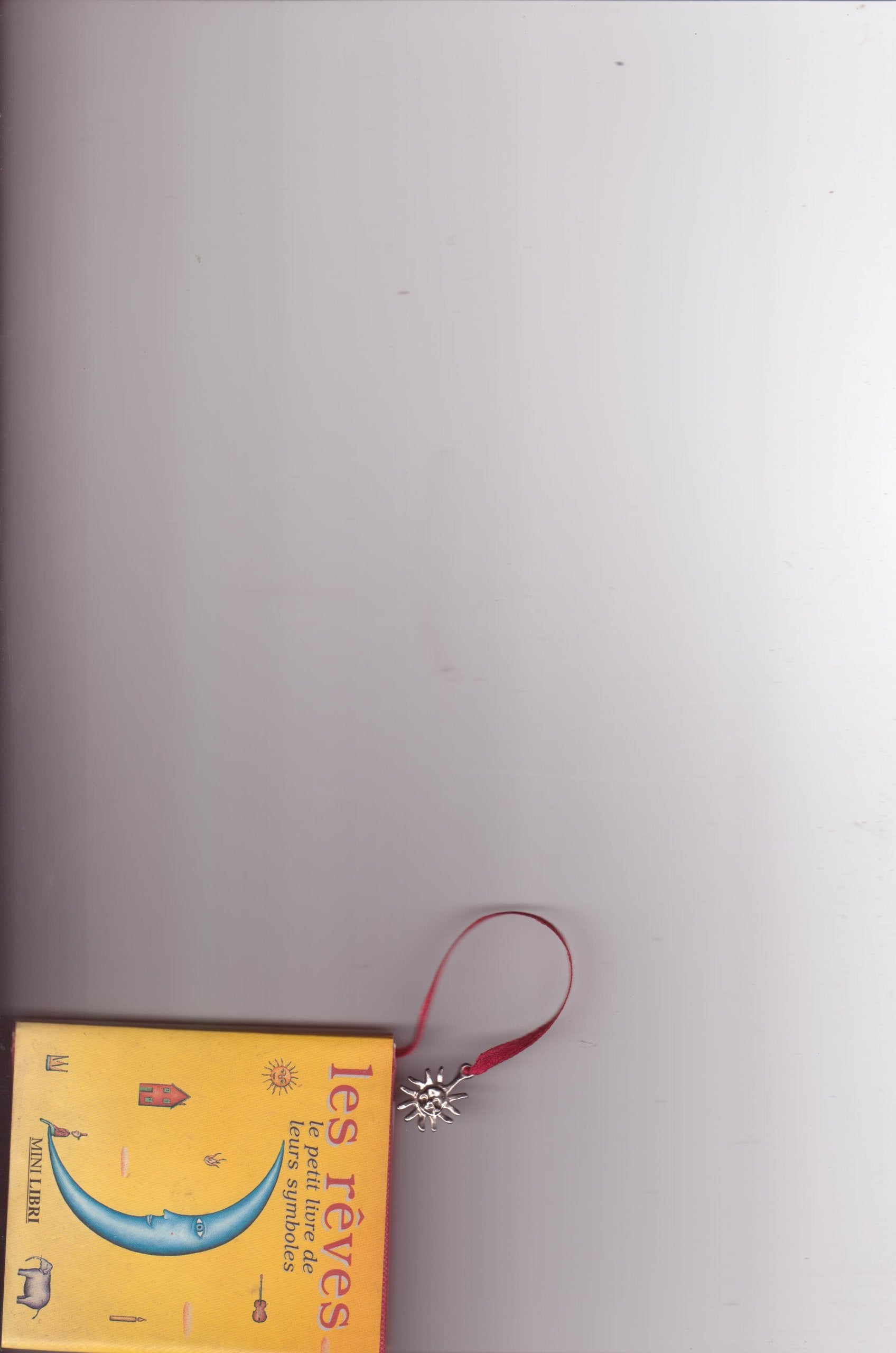 Les rêves, le petit livre de leurs symboles 9782842500474