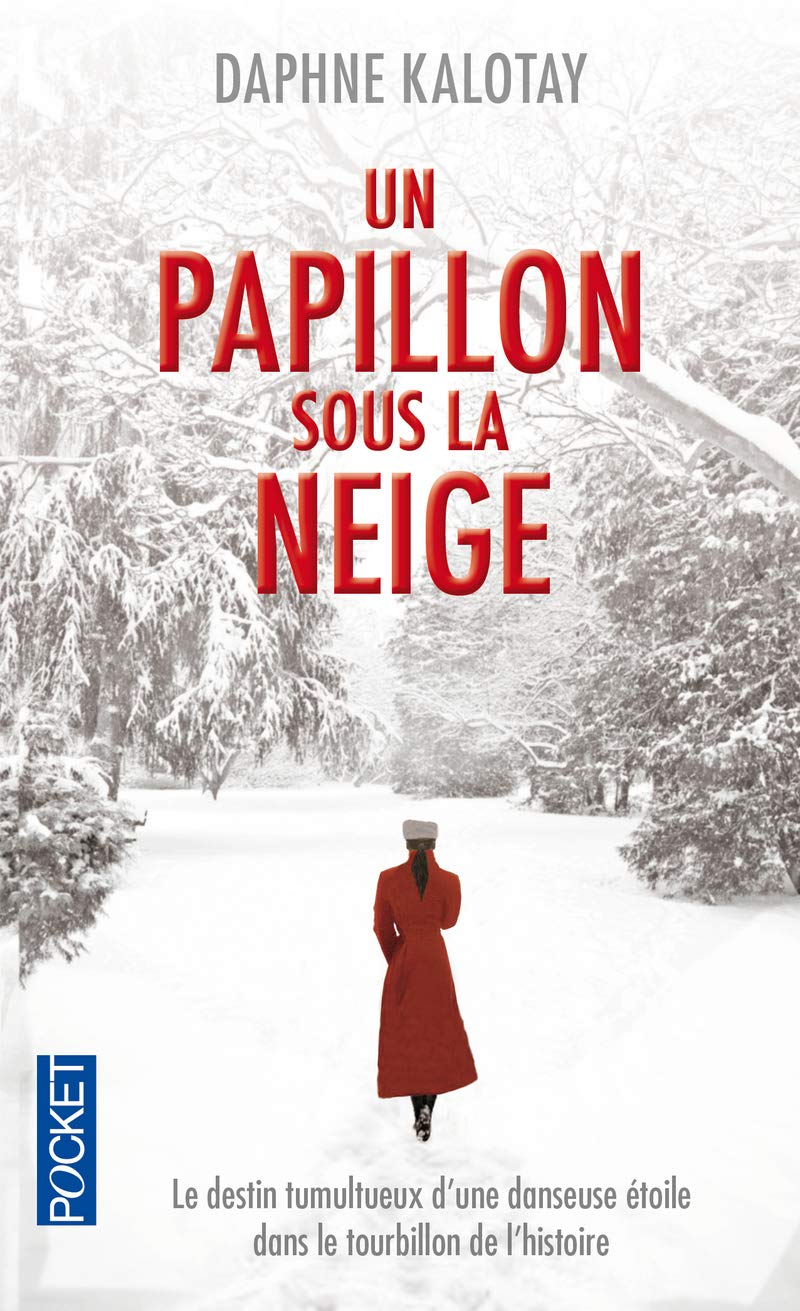 Un papillon sous la neige 9782266223041