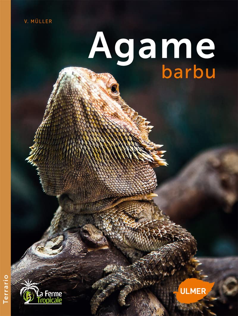 L'Agame barbu 9782841386918