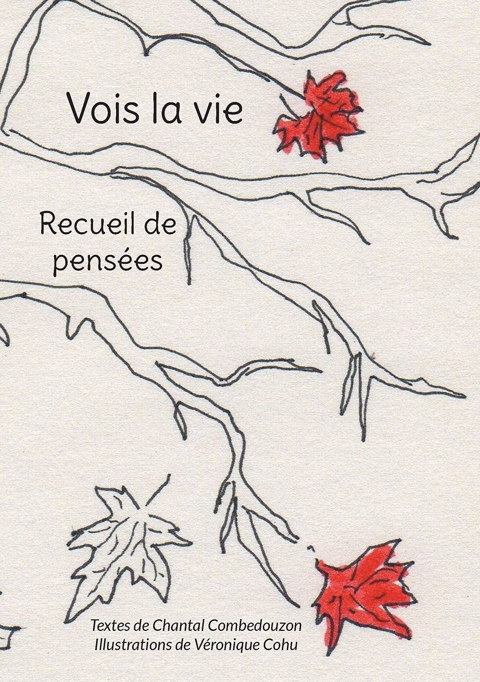 Vois la vie: Recueil de pensées 9782322381944