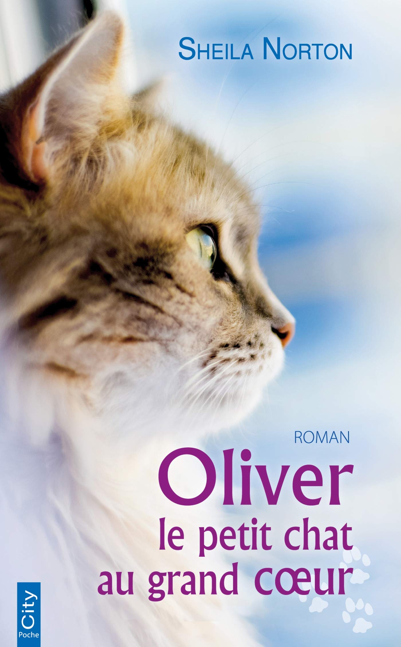 Oliver, le petit chat au grand coeur 9782824613741
