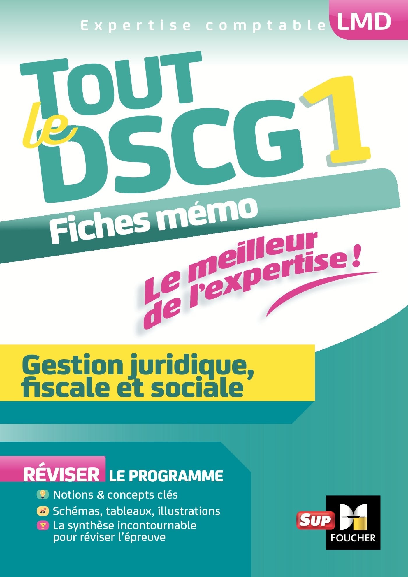 Tout le DSCG 1 - Gestion juridique fiscale et sociale 9782216146147