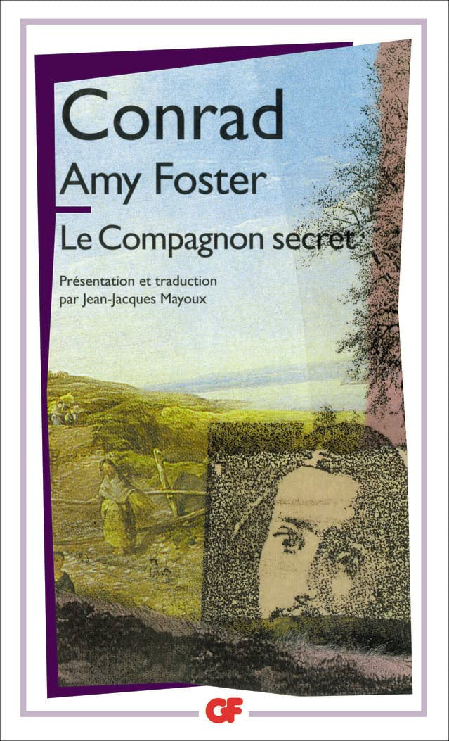 Amy Foster : Le Compagnon secret 9782080706966