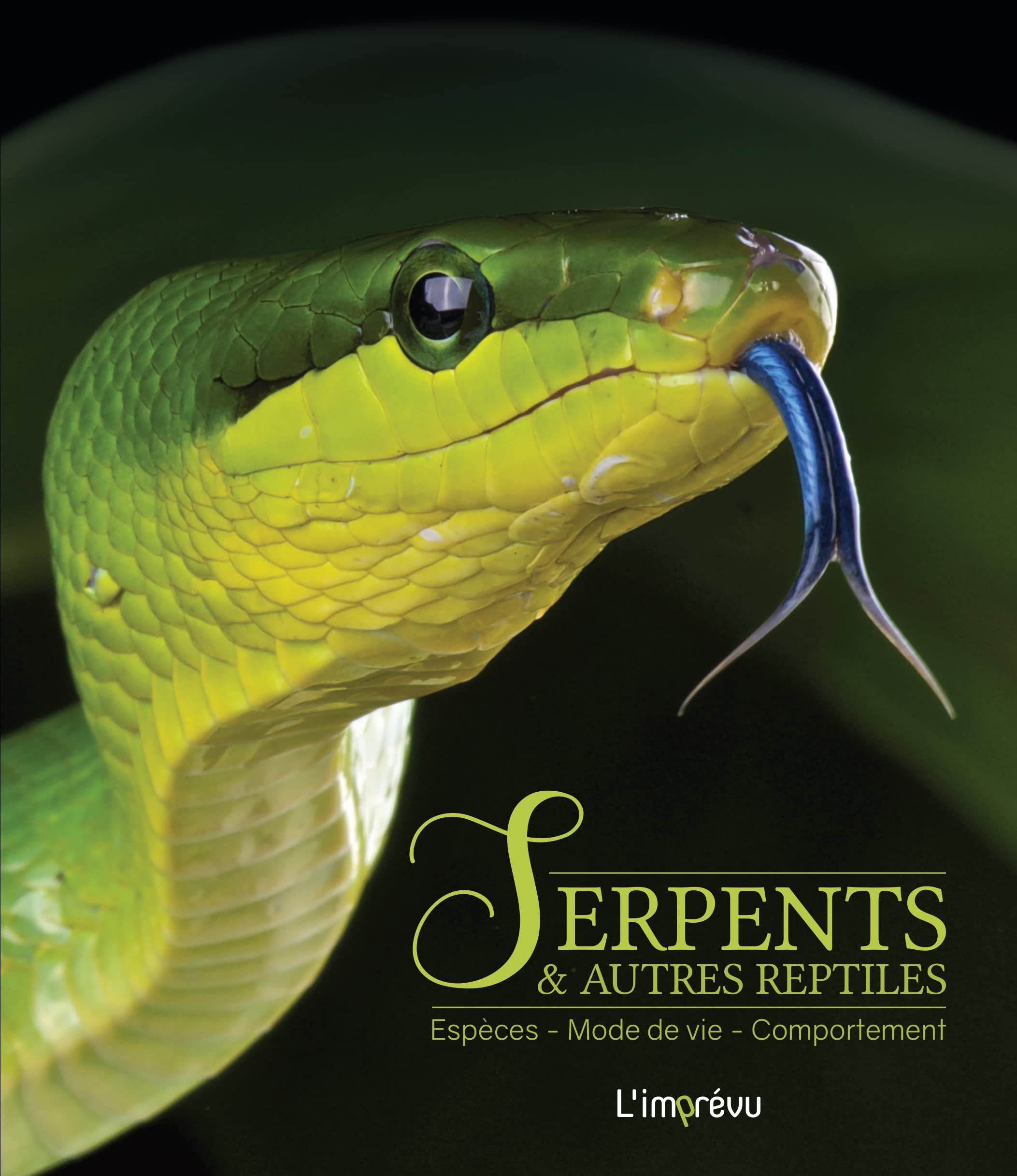 Serpents ou autres reptiles: Espèces, mode de vie, comportement 9791029508172