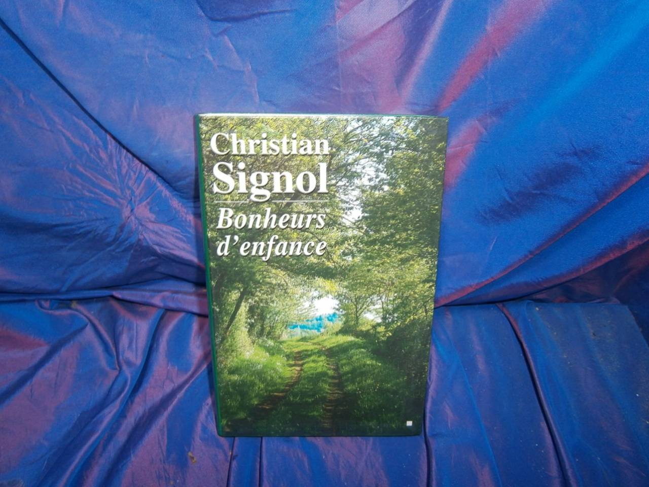 Bonheurs d'enfance. 9782286118617