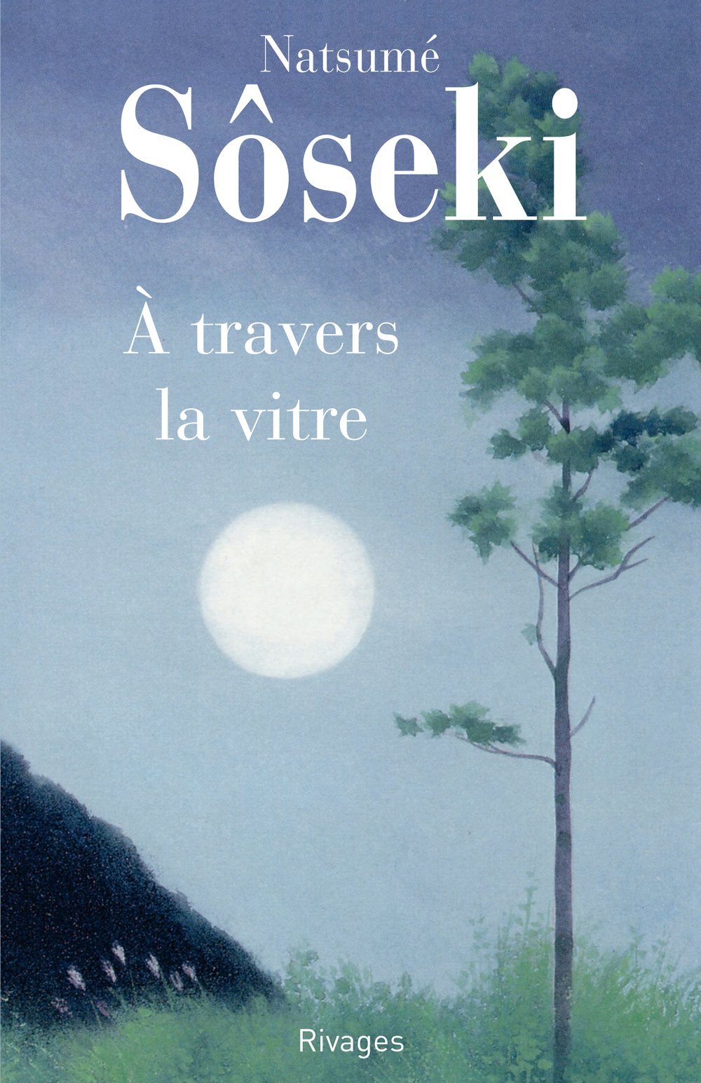 A travers la vitre 9782743608736