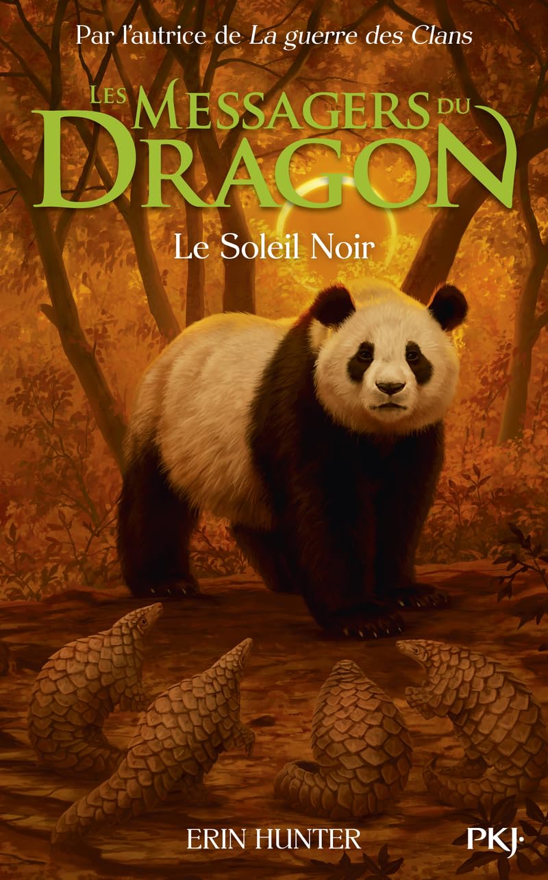 Les Messagers du Dragon - Tome 04 : Le Soleil Noir (4) 9782266321174