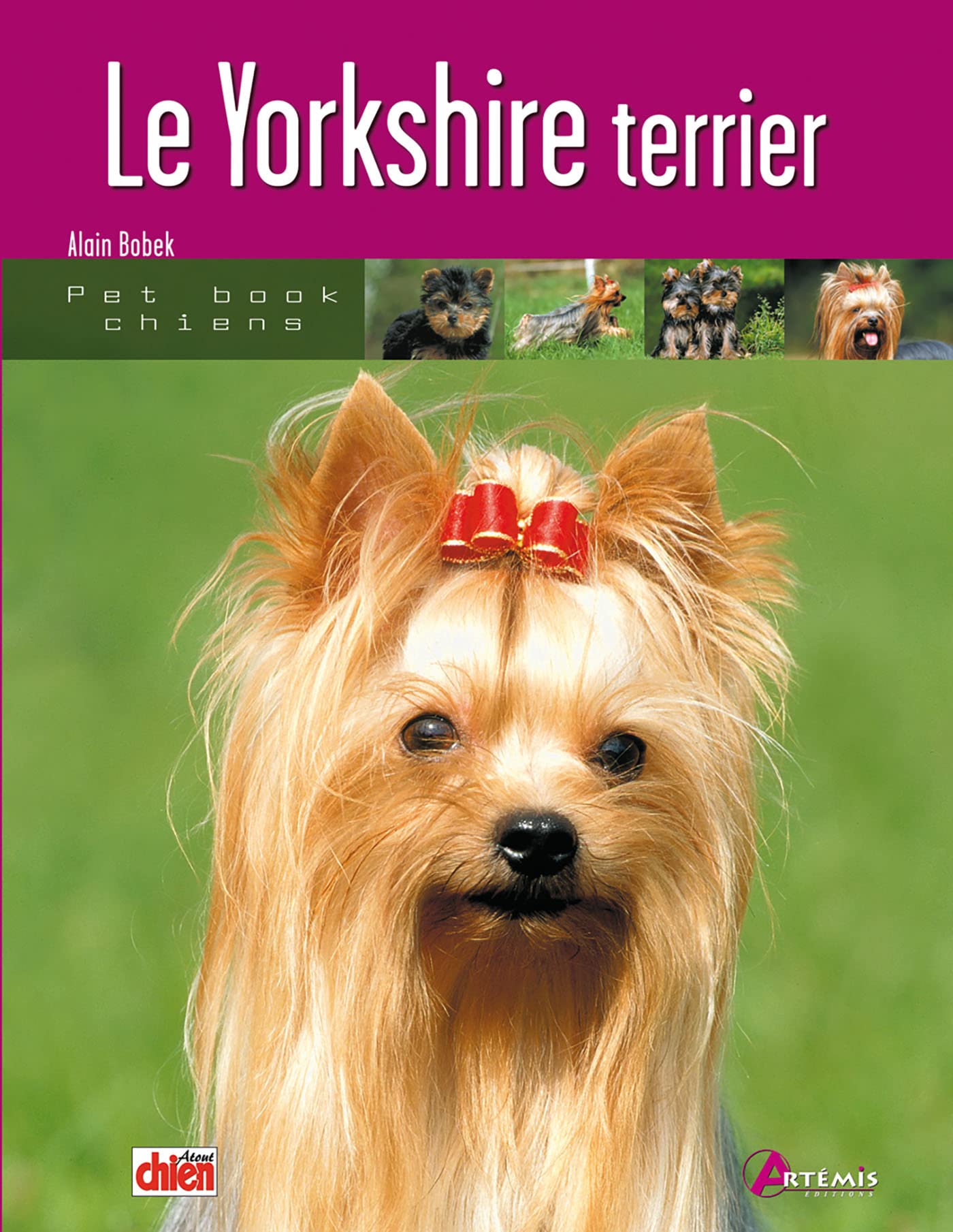 Le yorkshire terrier 9782844162694