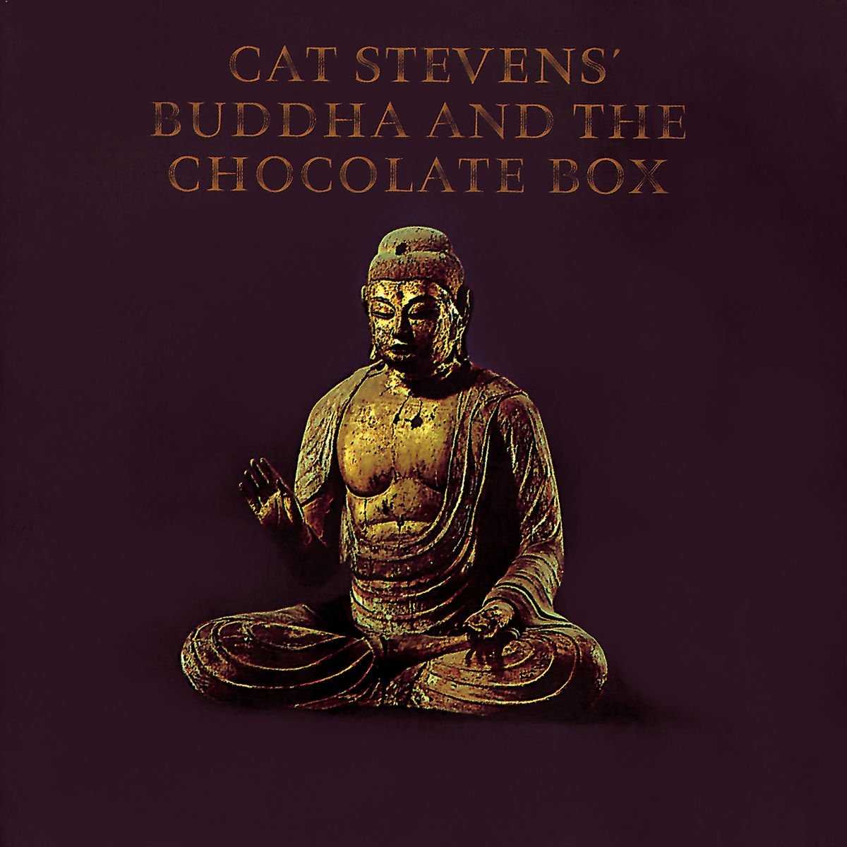 Buddha and the..=remaster 9786305993742