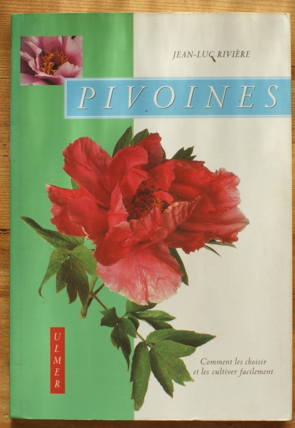 Pivoines : Comment les choisir et les cultiver facilement 9782841381524
