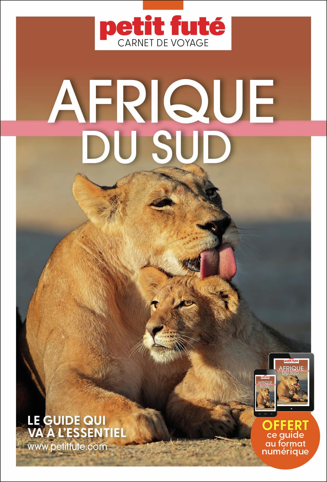 Guide Afrique Du Sud 2025 Carnet Petit Futé (2025) 9782305115252