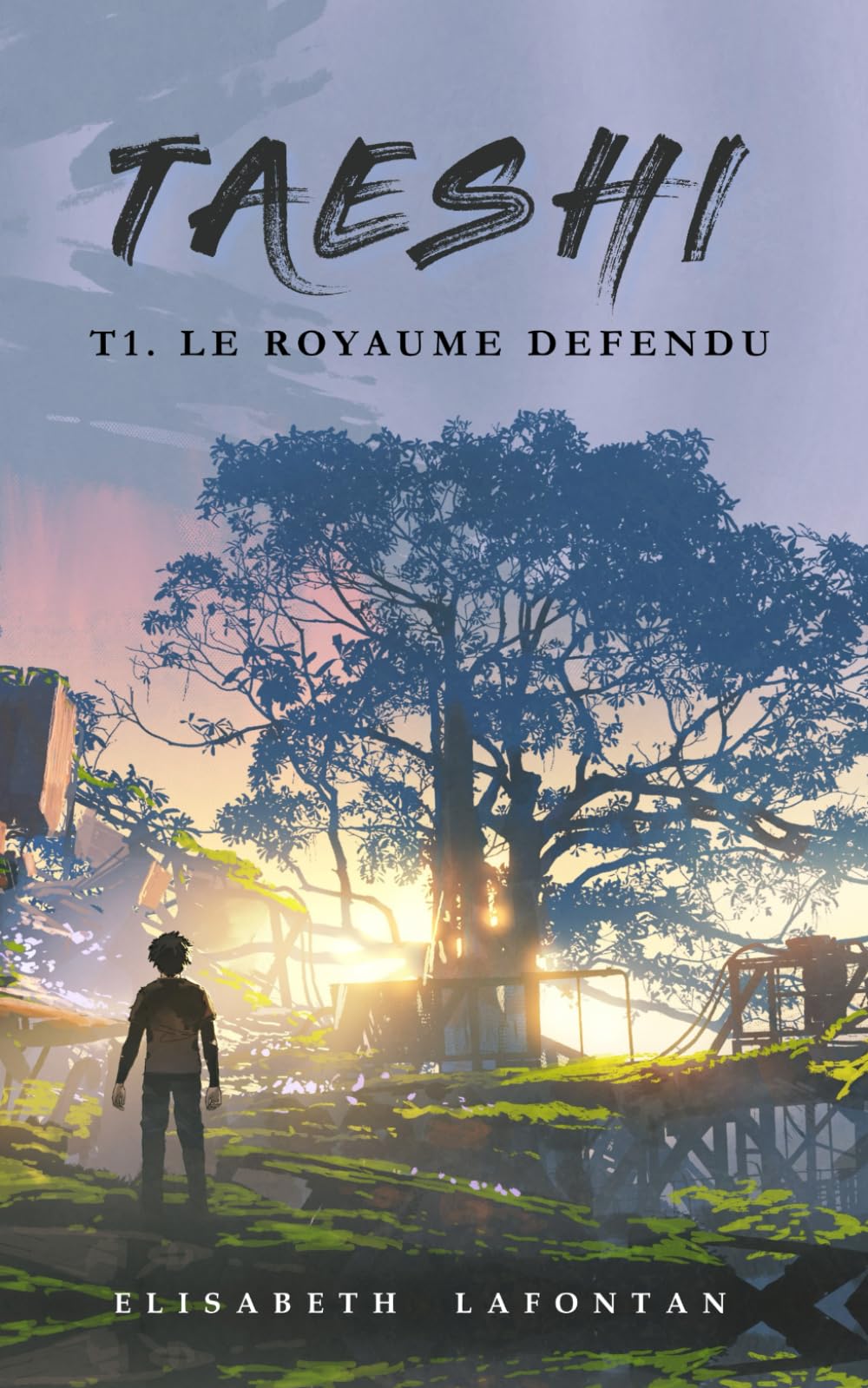 Taeshi : Le royaume défendu 9782958810719