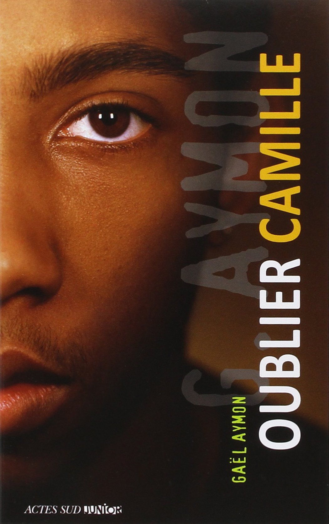 Oublier Camille 9782330034290