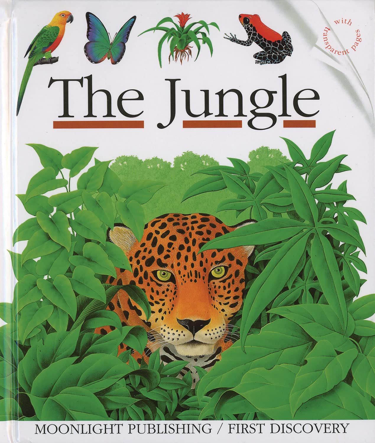 The Jungle 9781851031832