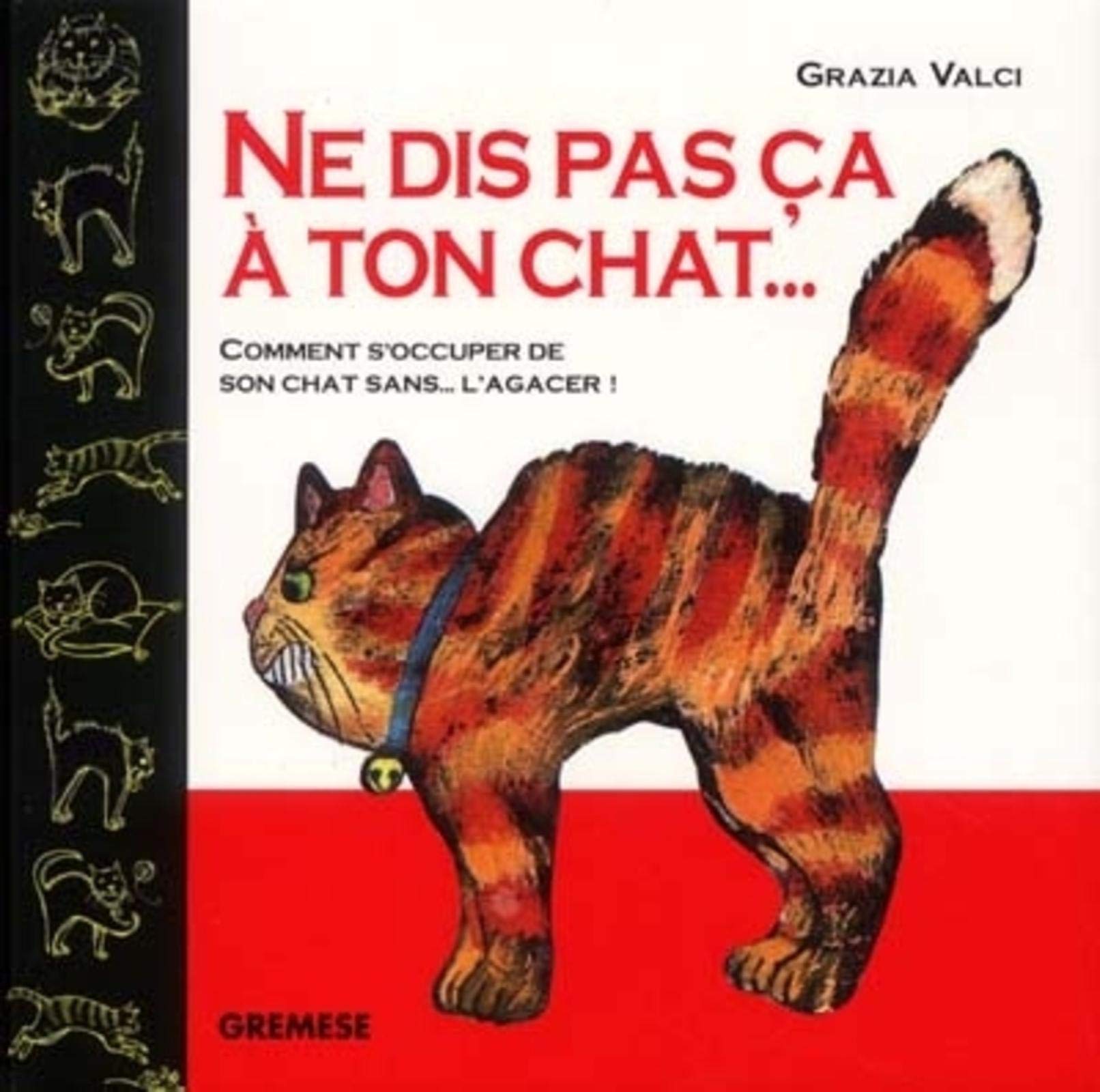 Ne dis pas ça à ton chat ...: Comment s'occuper de son chat sans l'agacer 9788873014911