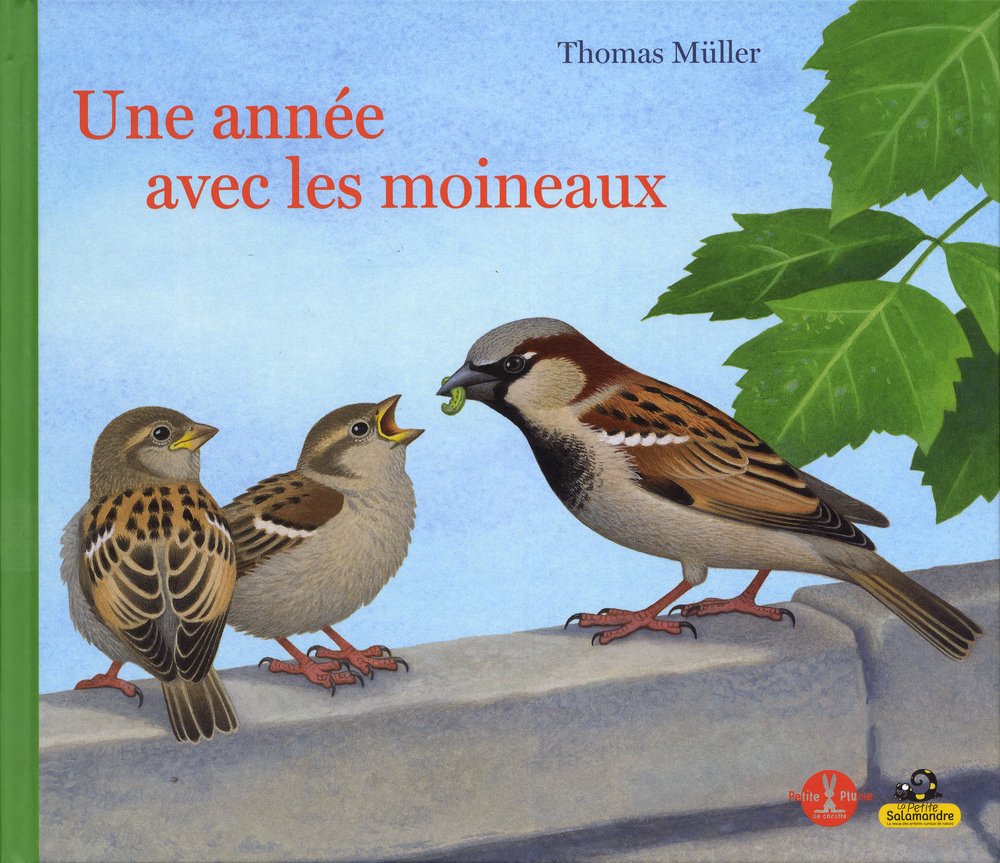 Une année avec les moineaux 9782361540708