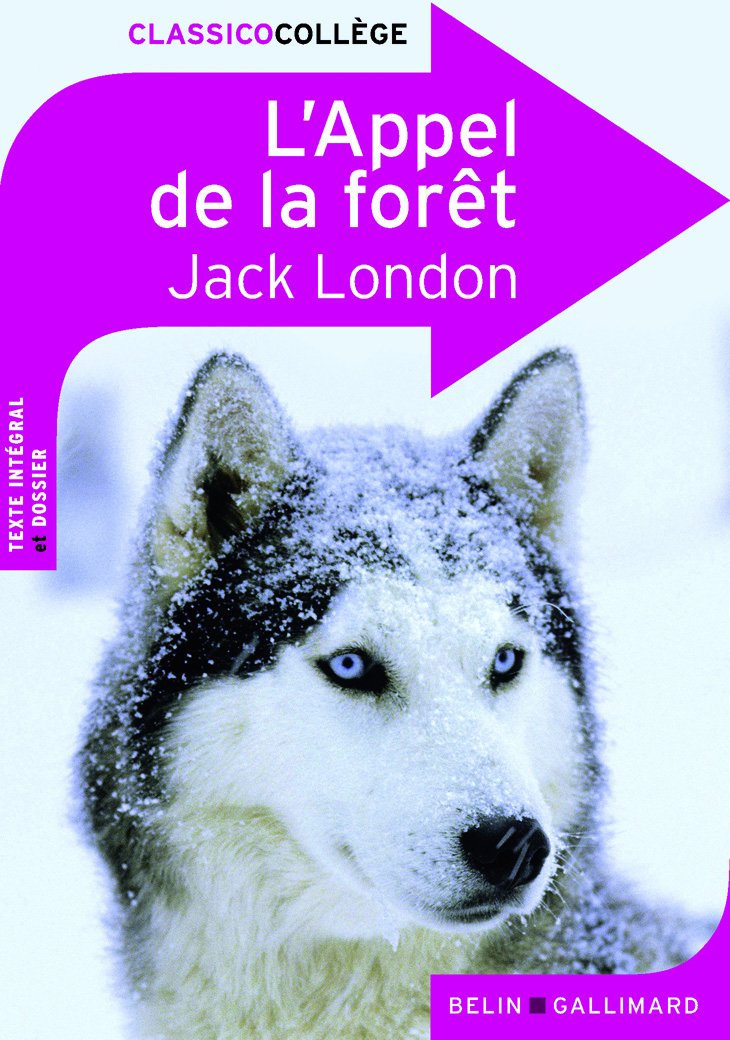 L'Appel de la forêt 9782701152400