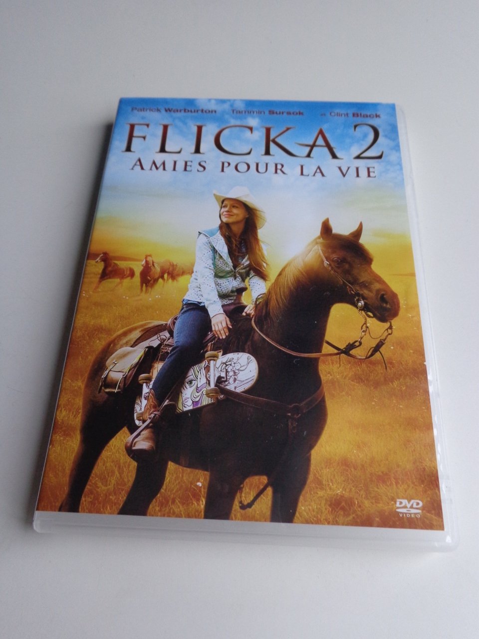 Flicka 2 : Amies pour la vie 3344428040222