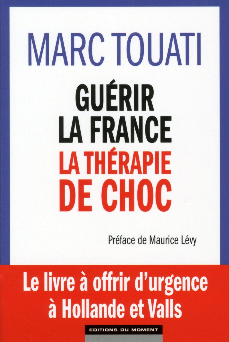 Guérir la France, la thérapie de choc 9782354173432