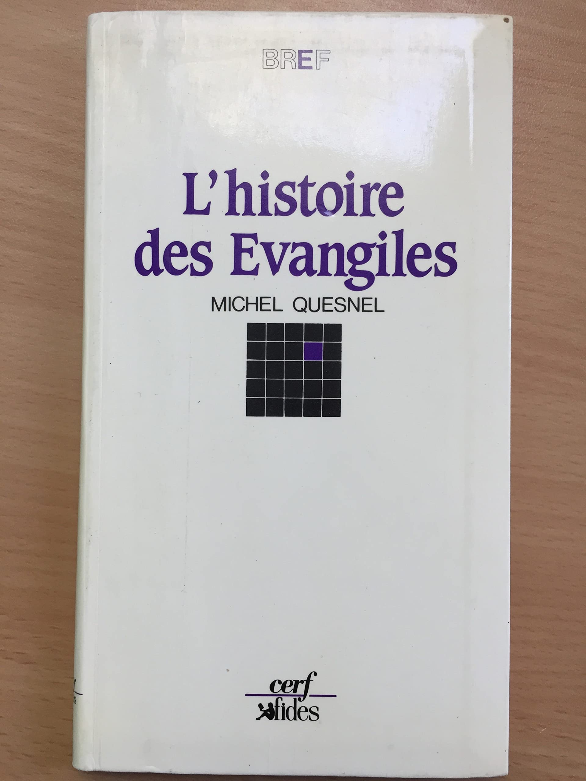 L'Histoire des Evangiles 9782204026840