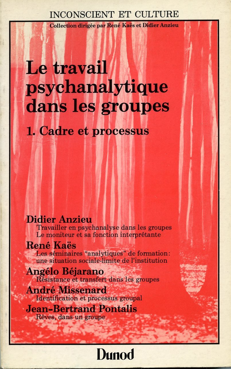 Le travail psychanalytique dans les groupes, tome 1 : Cadre et processus 9782040155131