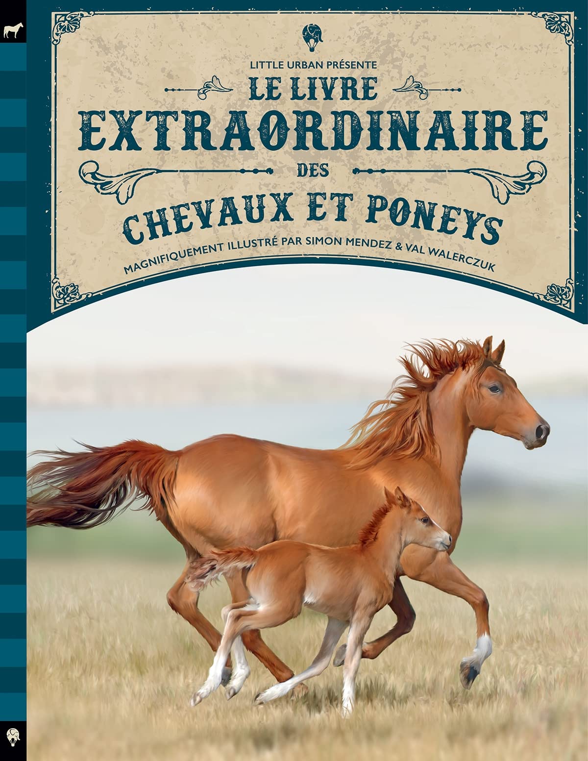 Le Livre extraordinaire des chevaux 9782374083629