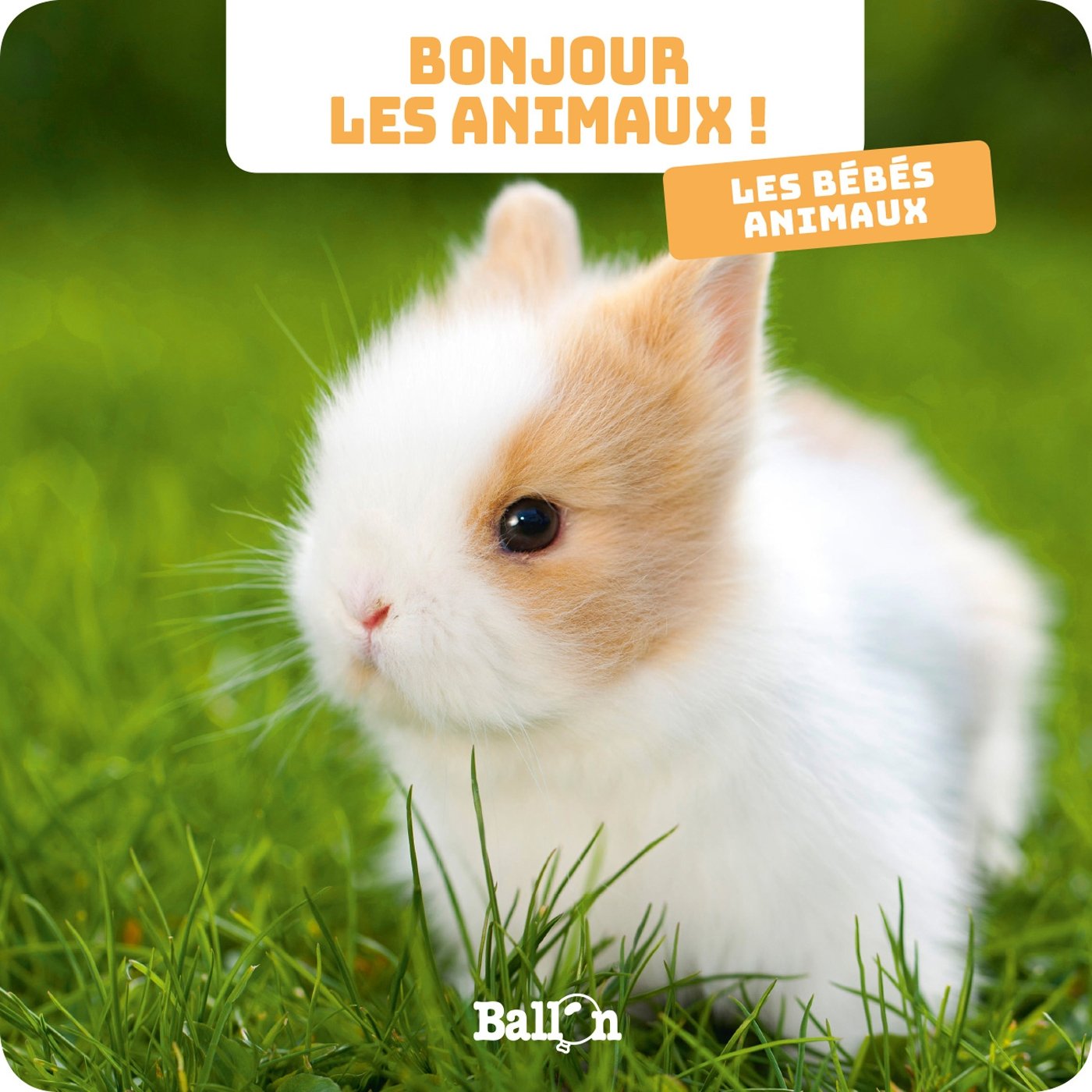Bonjour les animaux : Les bébés animaux 9789403206875