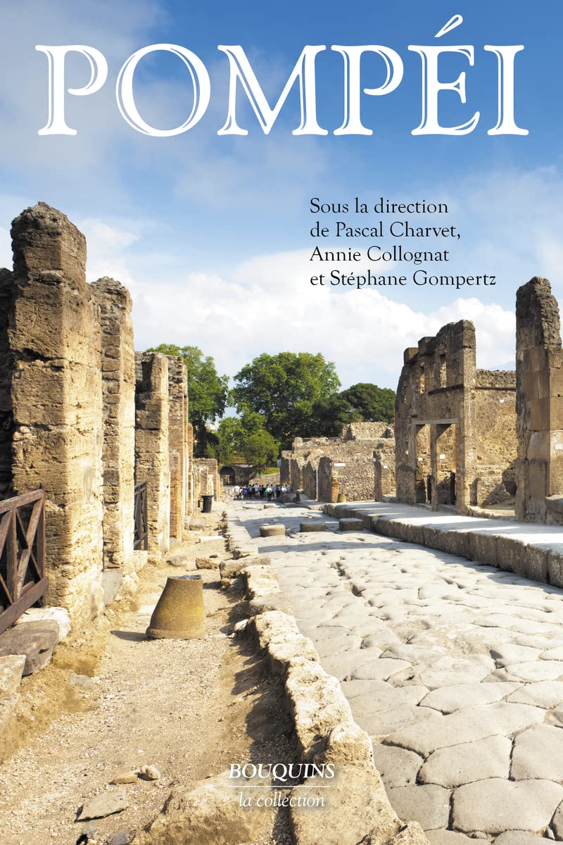 Pompei 9782221246528