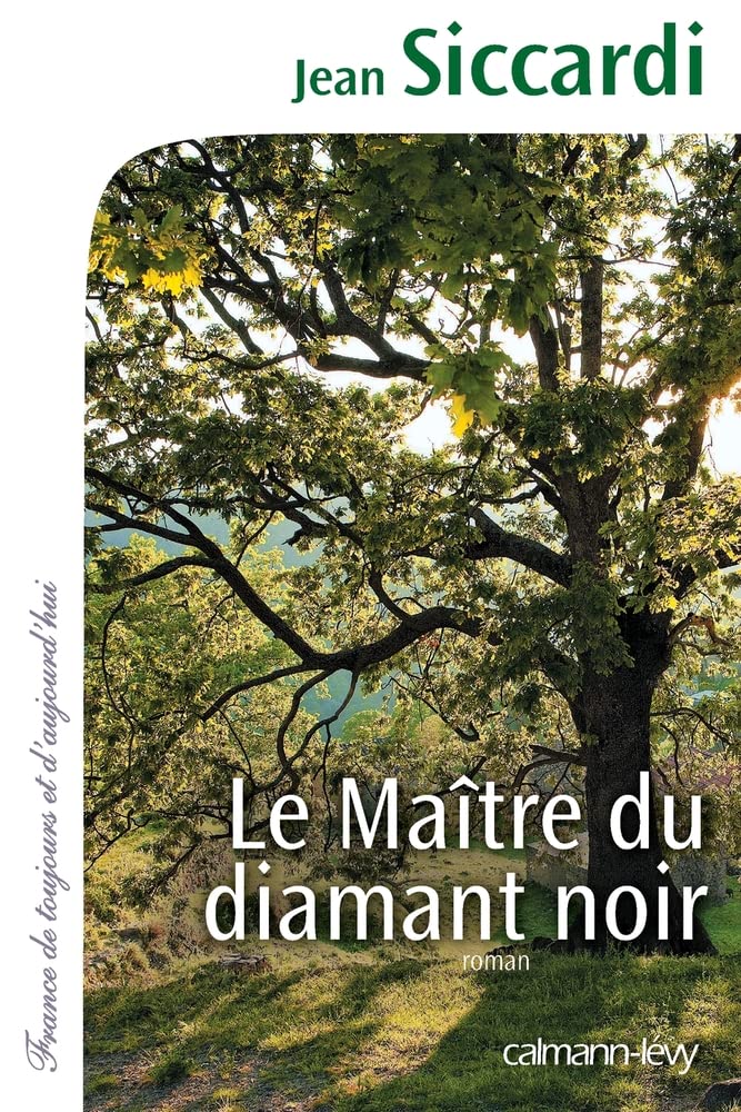Le Maître du diamant noir 9782702142844