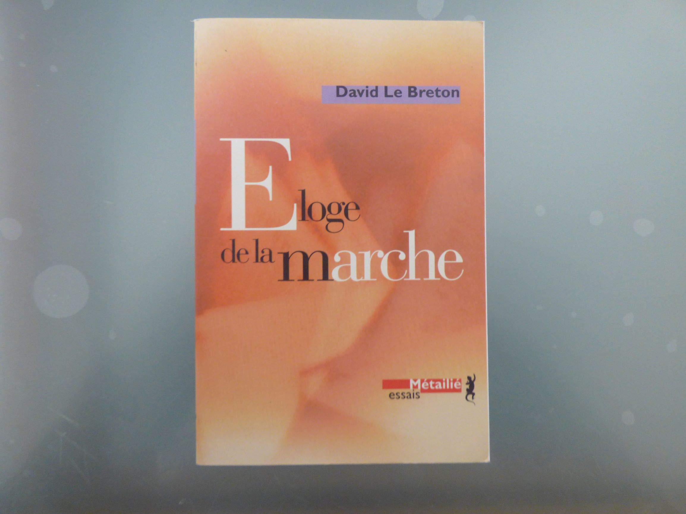 Eloge de la marche 9782864243519