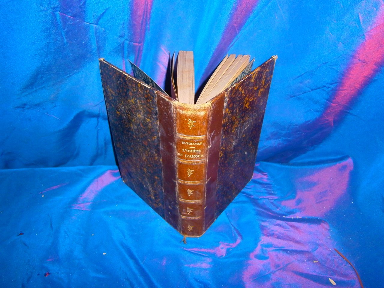 L'ombre de l'amour 9782916512044