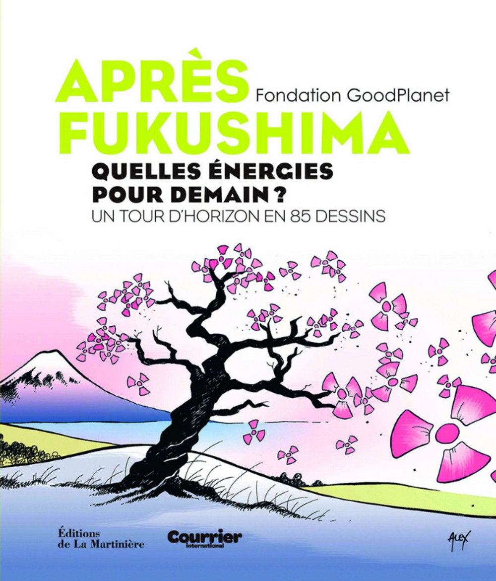 Après fukushima : Quelles énergies pour demain ? Un tour d'horizon en 85 dessins 9782732450025
