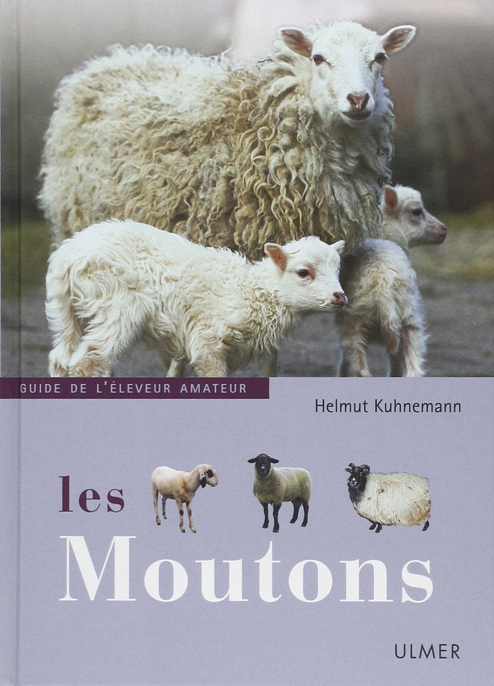 Moutons : Guide de l'éleveur amateur 9782841381722