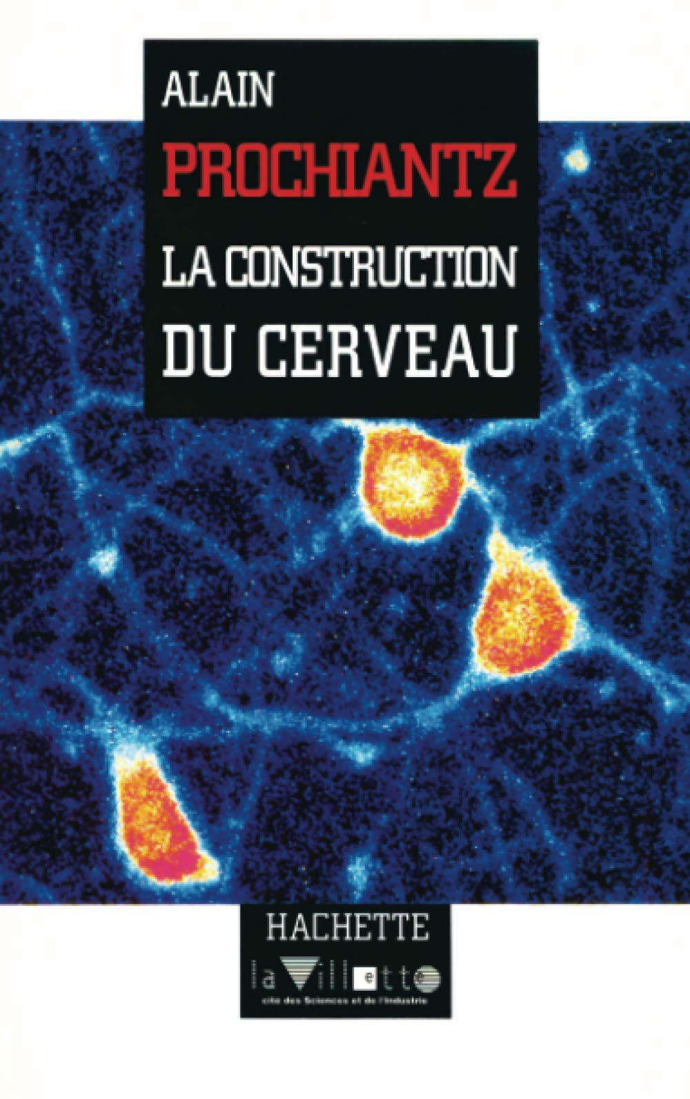 La Construction du cerveau 9782012350281