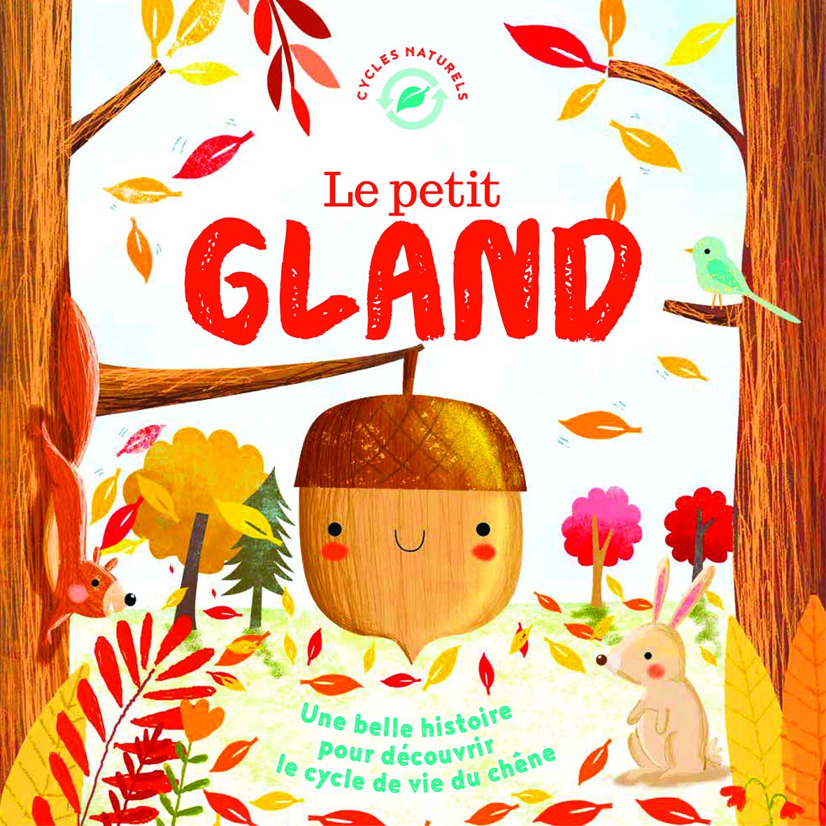 Le petit gland NE (coll. nature) 9782359903294