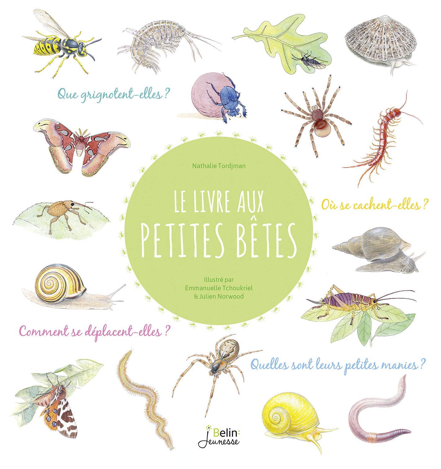 Le livre aux petites bêtes 9782410013917