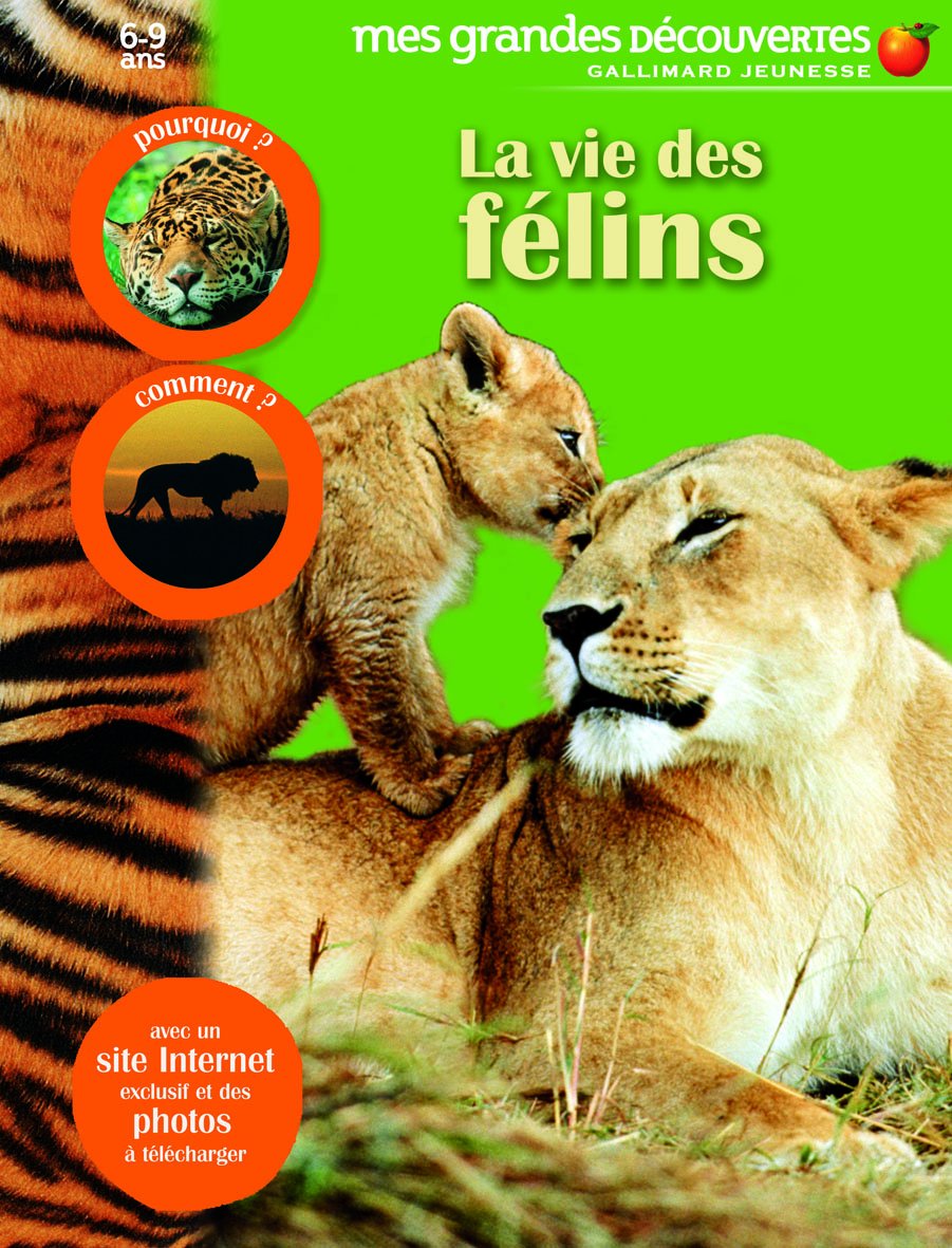 LA VIE DES FELINS - Mes Grandes Découvertes - 6/9 ans 9782070614318
