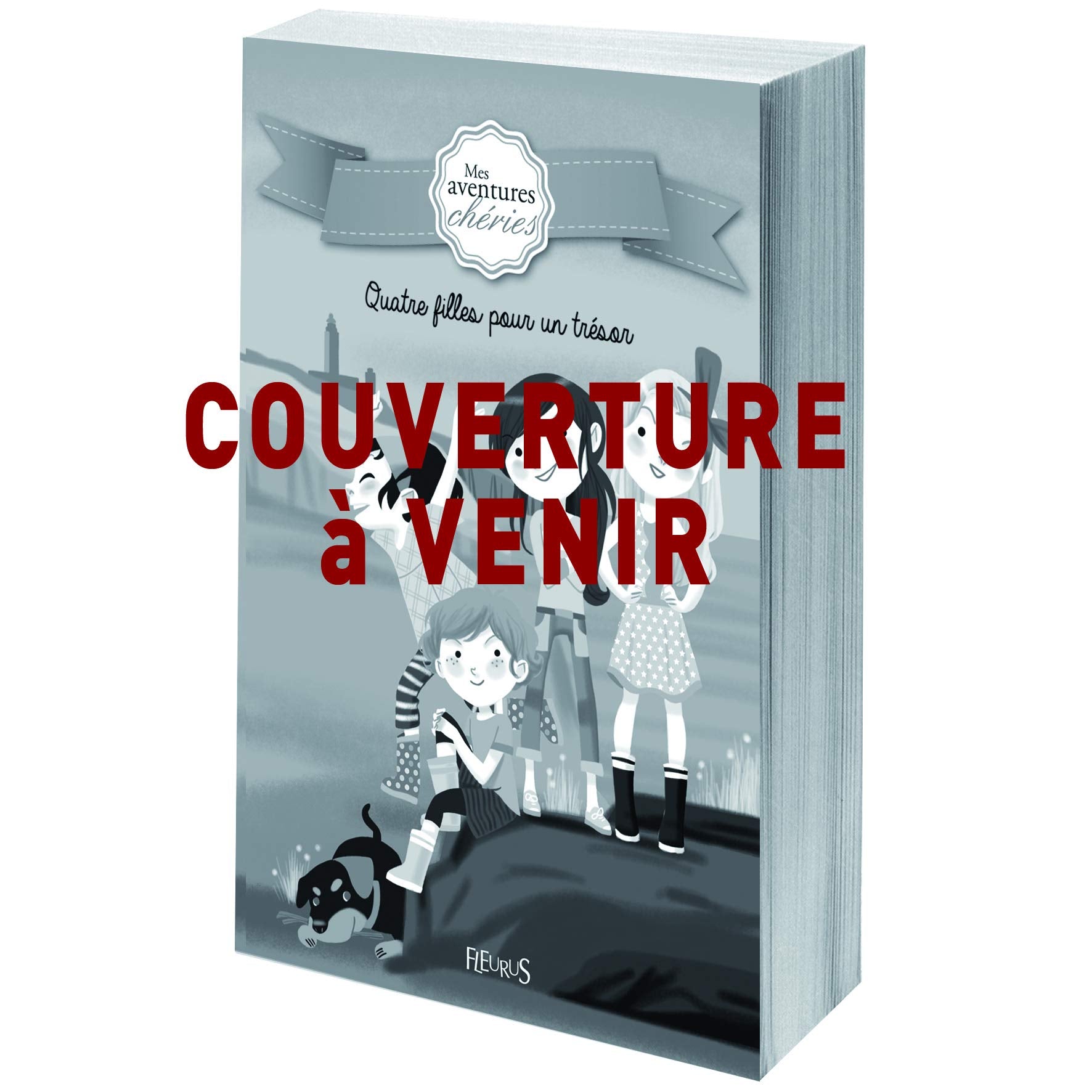 QUATRE FILLES AU SOMMET 9782215121084