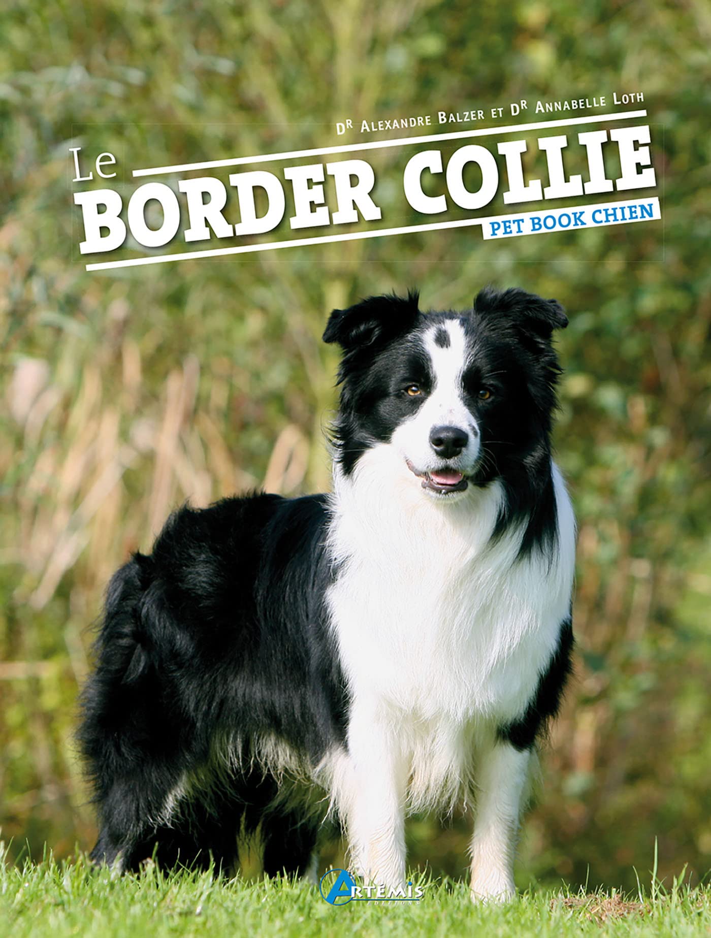 Le border collie 9782844168634