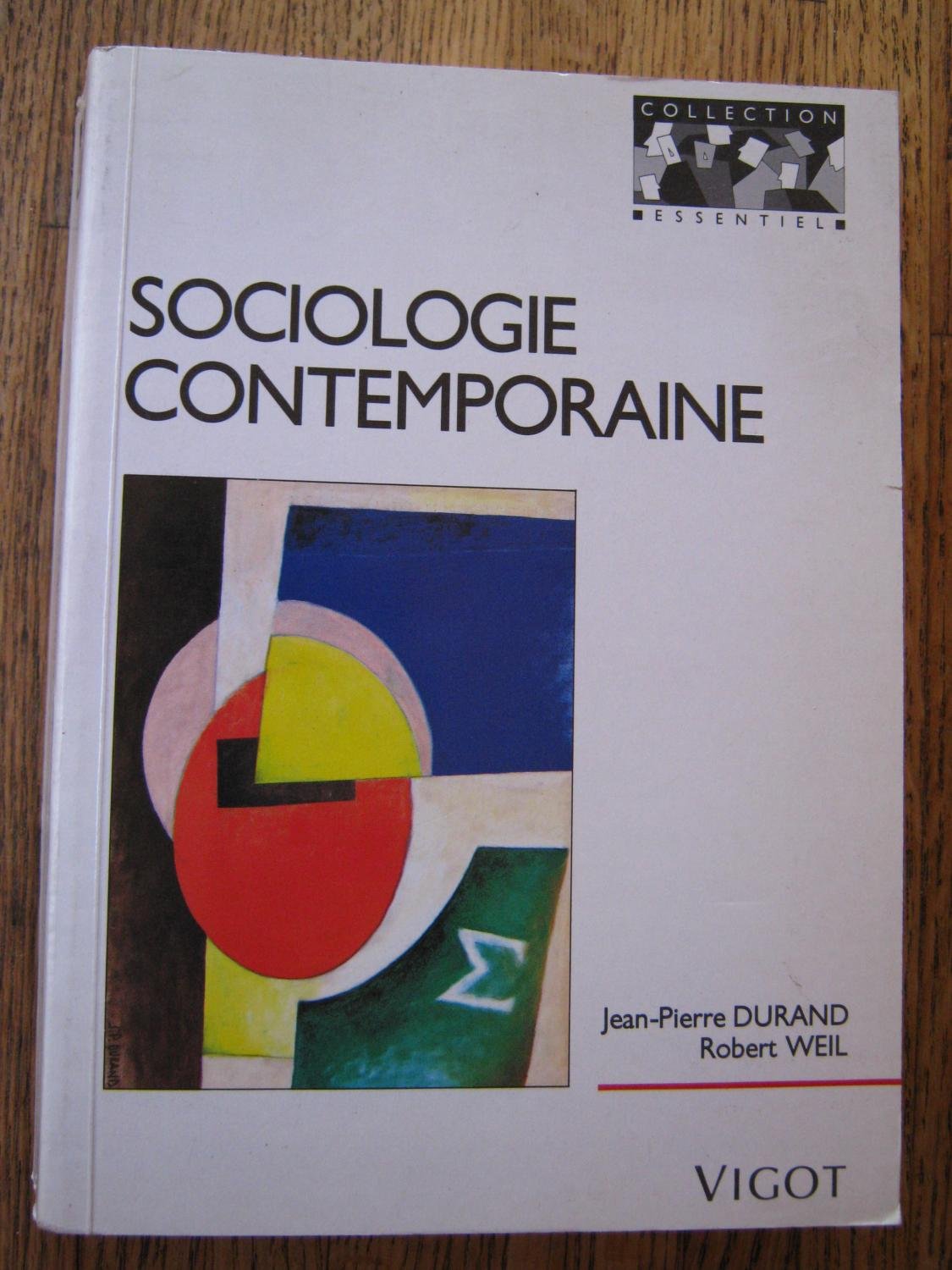 Sociologie contemporaine 9782711410842