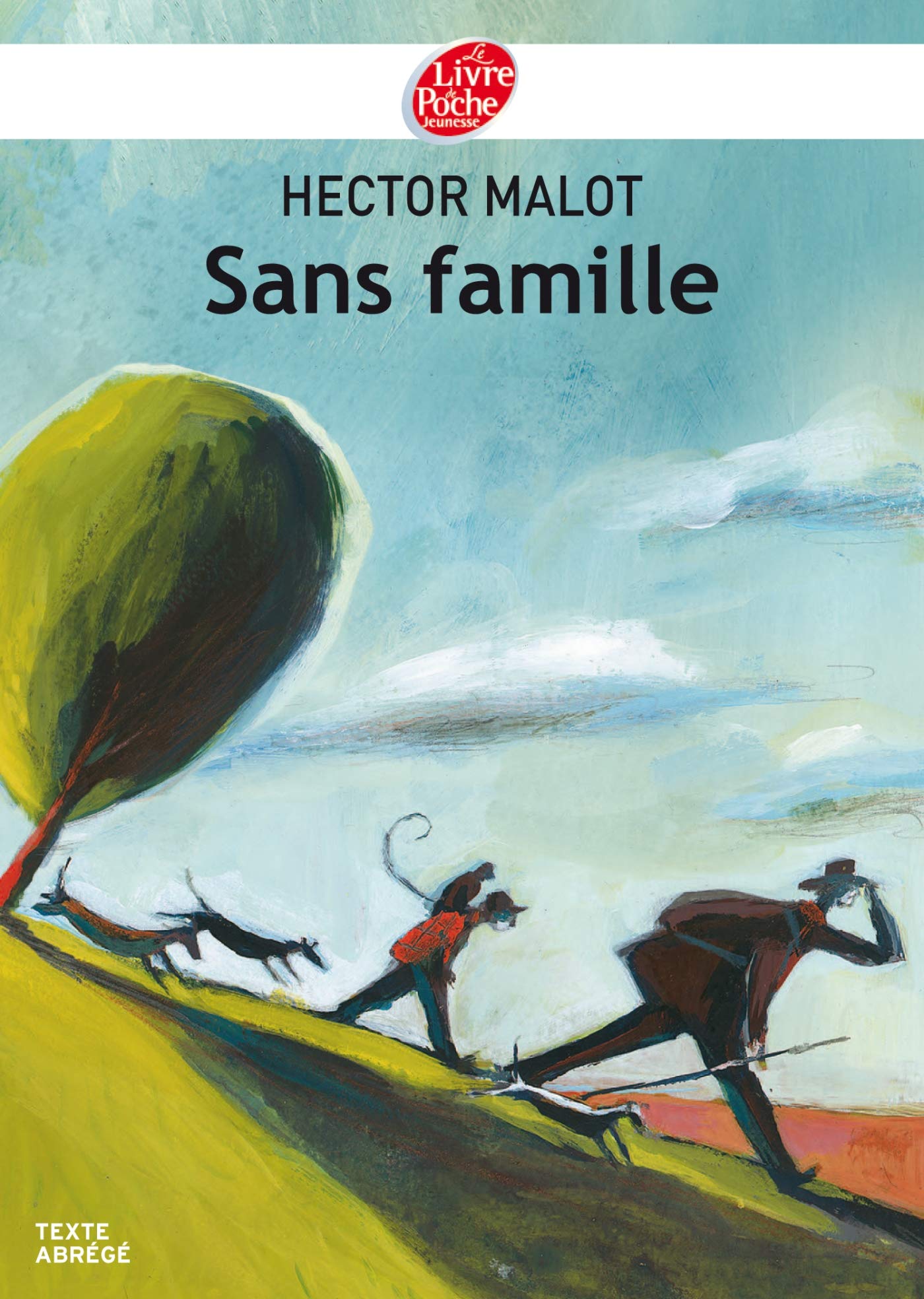 Sans famille - Texte Abrégé 9782013224789