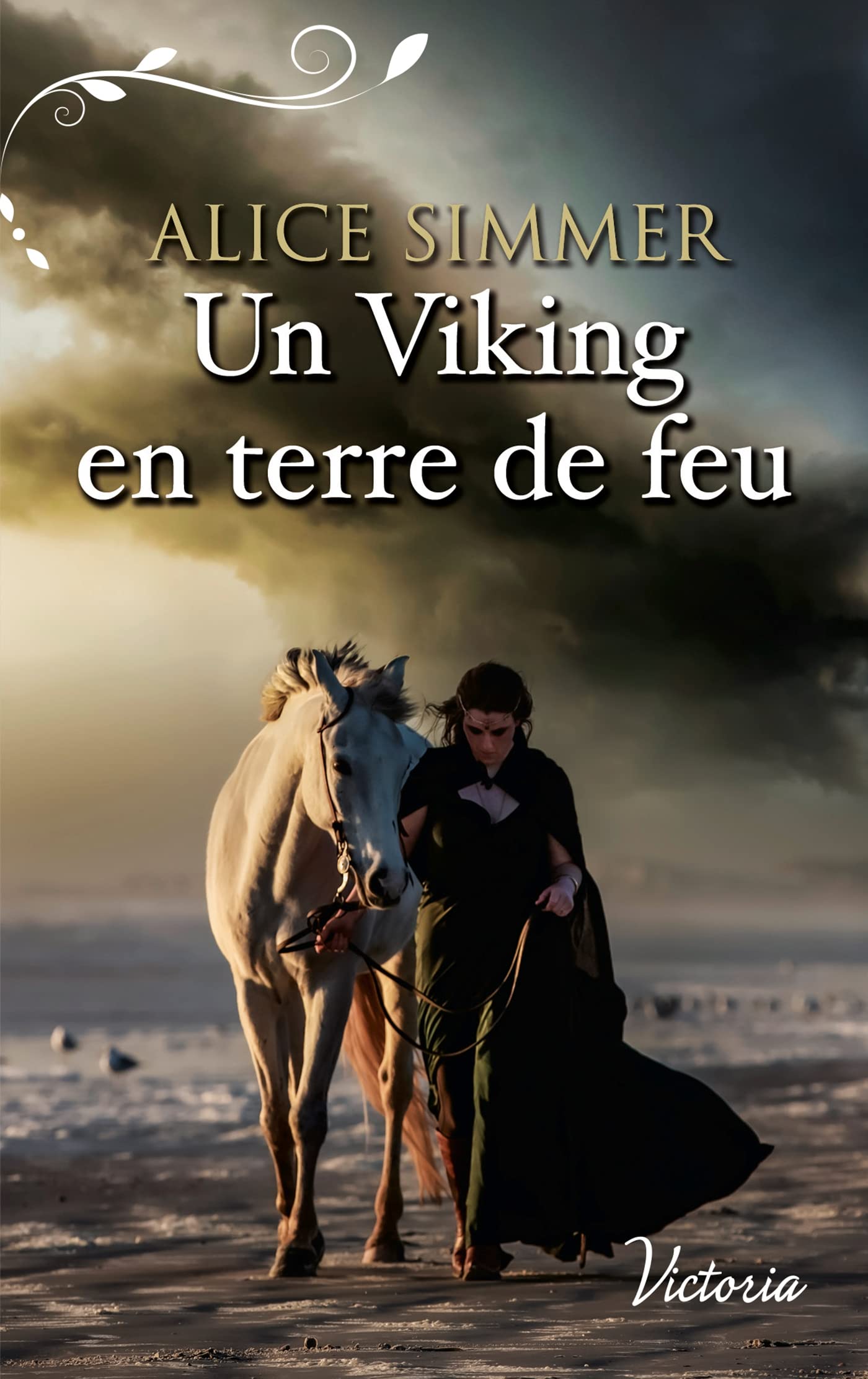 Un Viking en terre de feu 9782280458429
