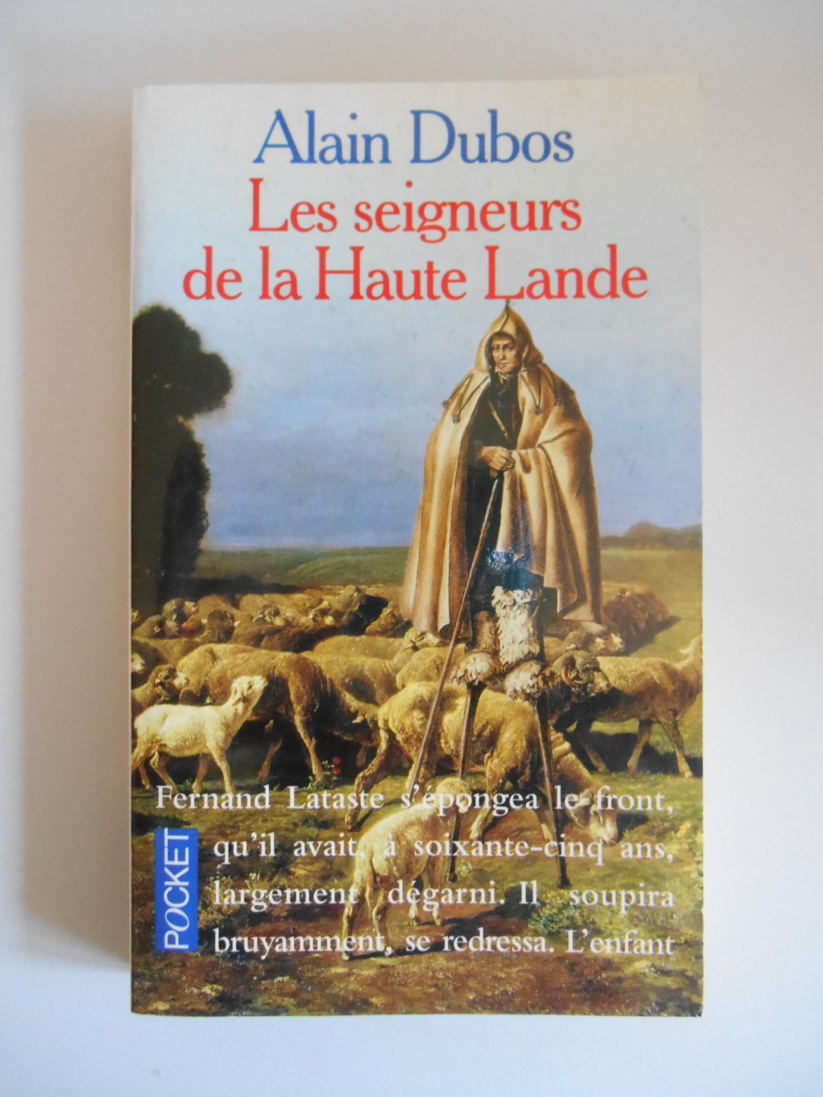 Les seigneurs de la haute lande 9782266077972