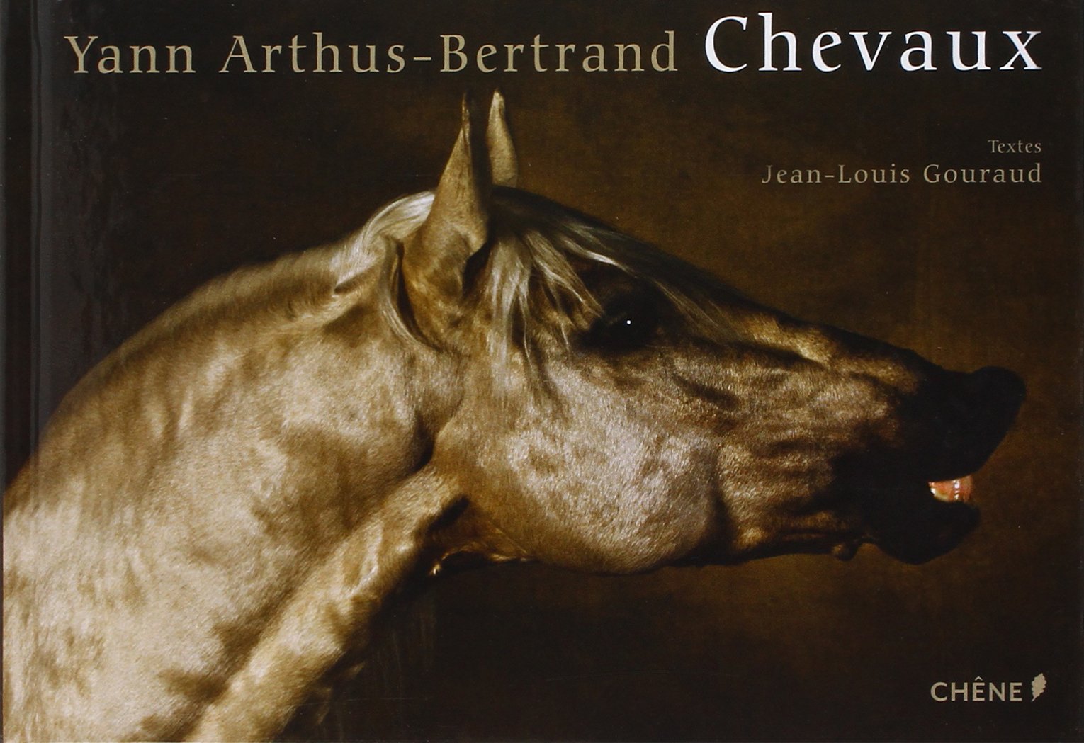 Chevaux (dérivé) 9782842777937