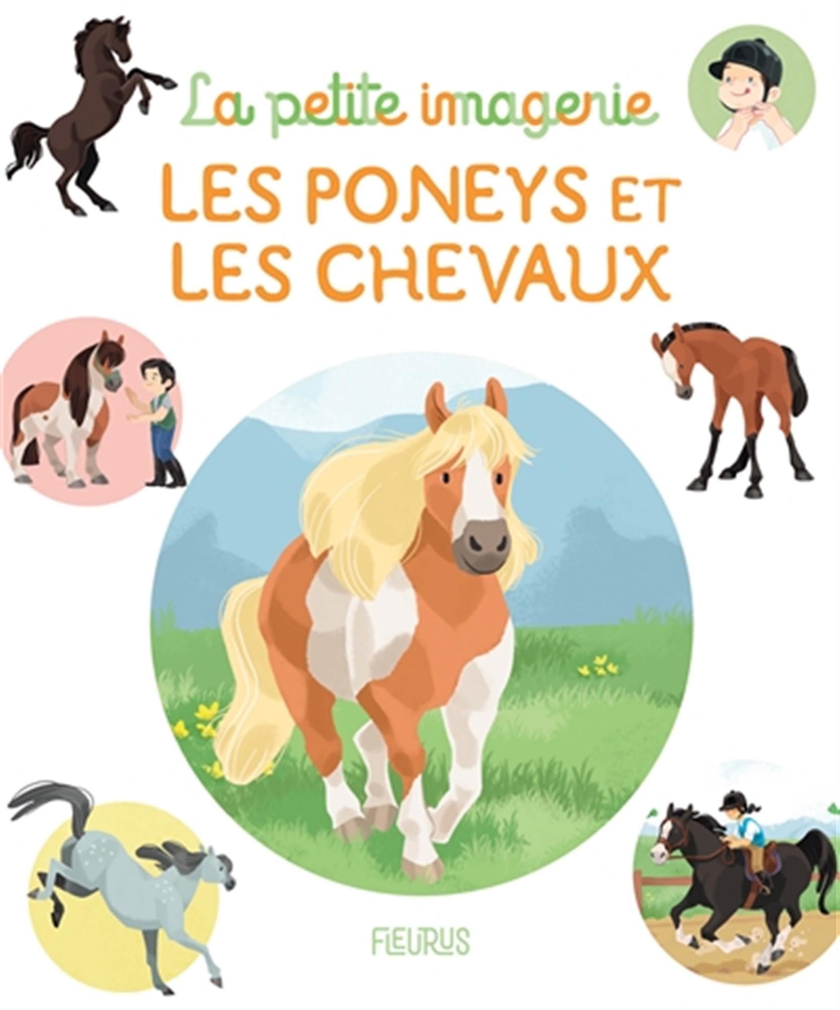 Les poneys et les chevaux 9782215172833